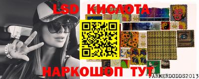 прущие грибы Гатчина