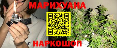 прущие грибы Гатчина
