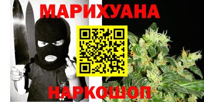 прущие грибы Гатчина