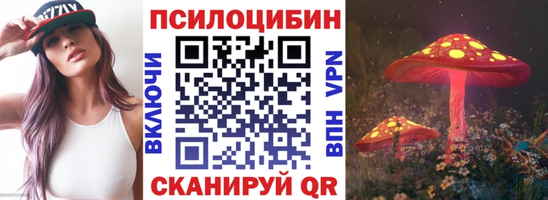 где купить наркоту  Рассказово  Псилоцибиновые грибы мицелий 