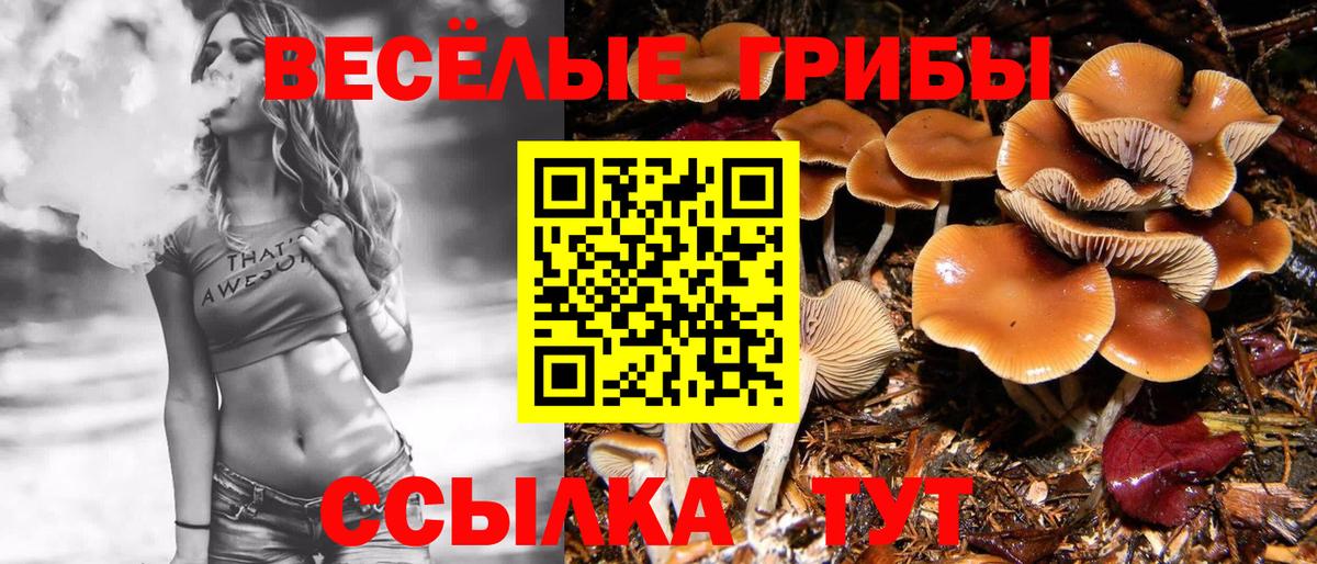 Рассказово  Псилоцибиновые грибы мухоморы  Вход с VPN 