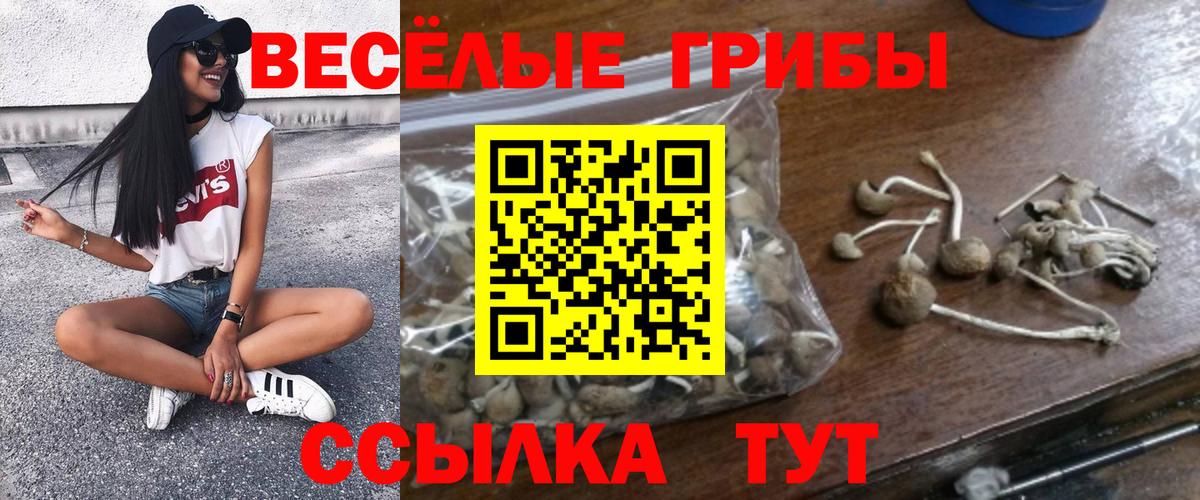 Галлюциногенные грибы мицелий Рассказово