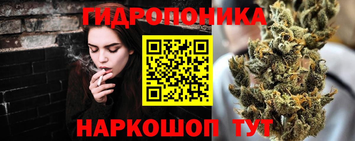 Бошки Шишки марихуана Рассказово